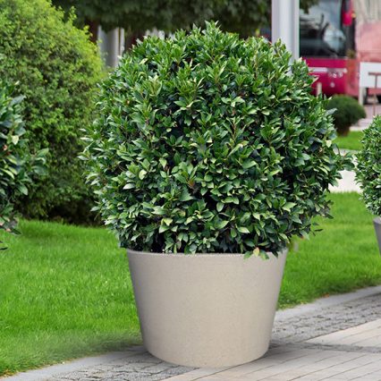 FIORIERA CIRCOLARE ILARY IL 202